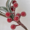 Iced Red Berry Sprig - Distinctly Living