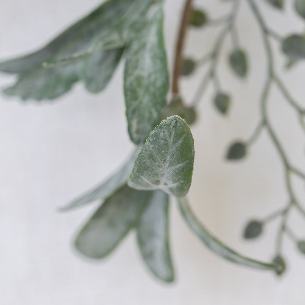 Iced Red Berry Sprig - Distinctly Living