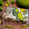 Mango Kew Garden Soap - Distinctly Living