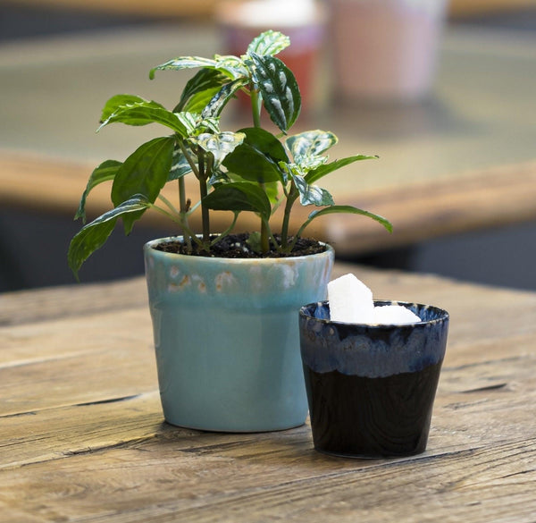 Organic Lungo Coffee Cup - Turquoise - Distinctly Living
