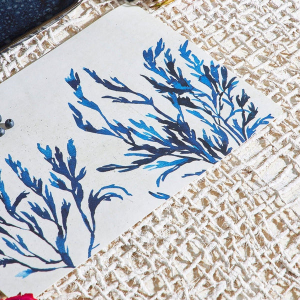 Sea Blue Coral Placemat - Distinctly Living