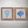 Set of Two Coral Art Prints - Distinctly Living
