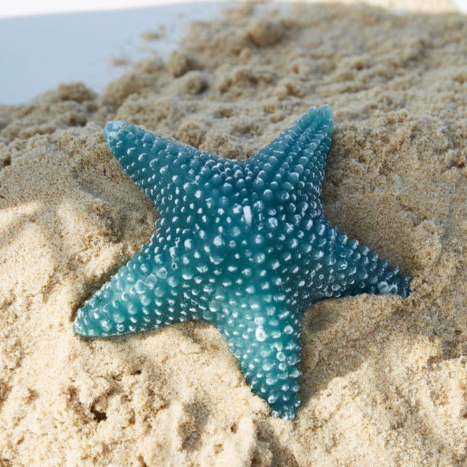Turquoise Starfish Candle - Distinctly Living