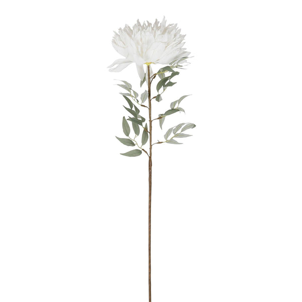 Viva White Flower - Distinctly Living