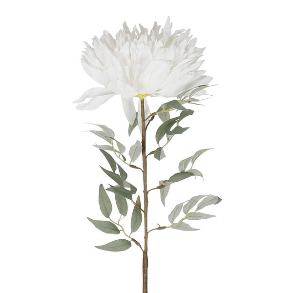 Viva White Flower - Distinctly Living