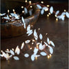 Warm White Leaf Cluster String - Battery or Plug - Distinctly Living 