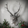 Weathered Stag Head - Distinctly Living