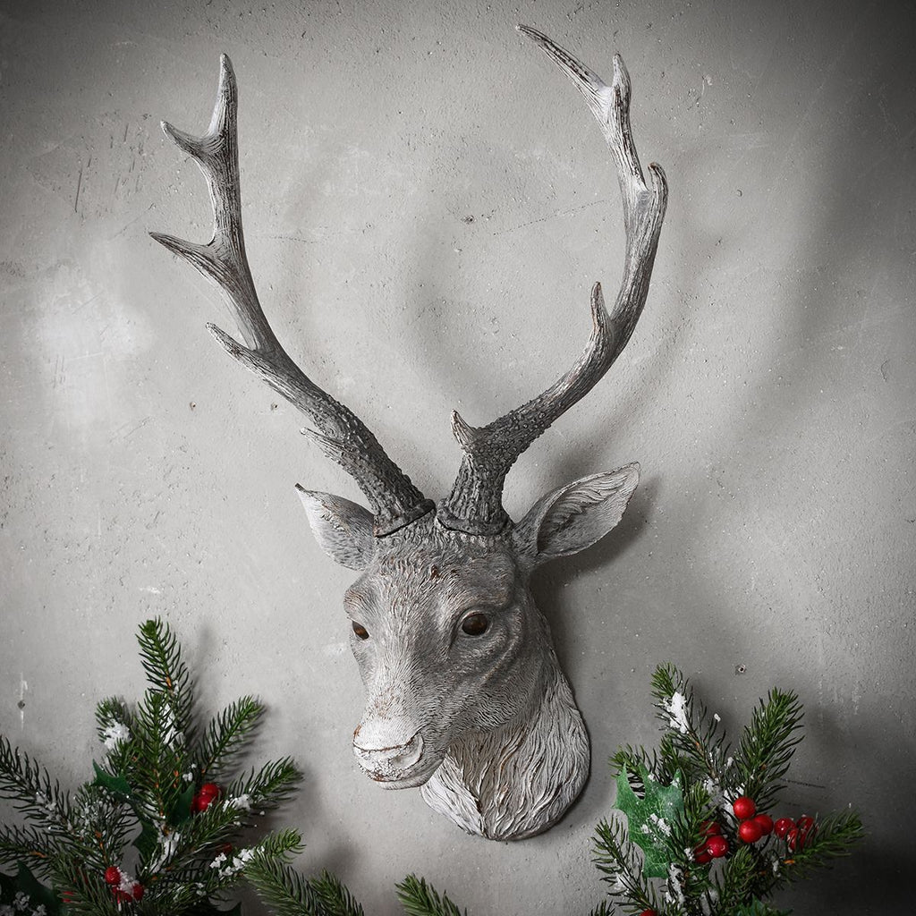 Weathered Stag Head - Distinctly Living