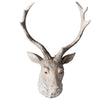Weathered Stag Head - Distinctly Living