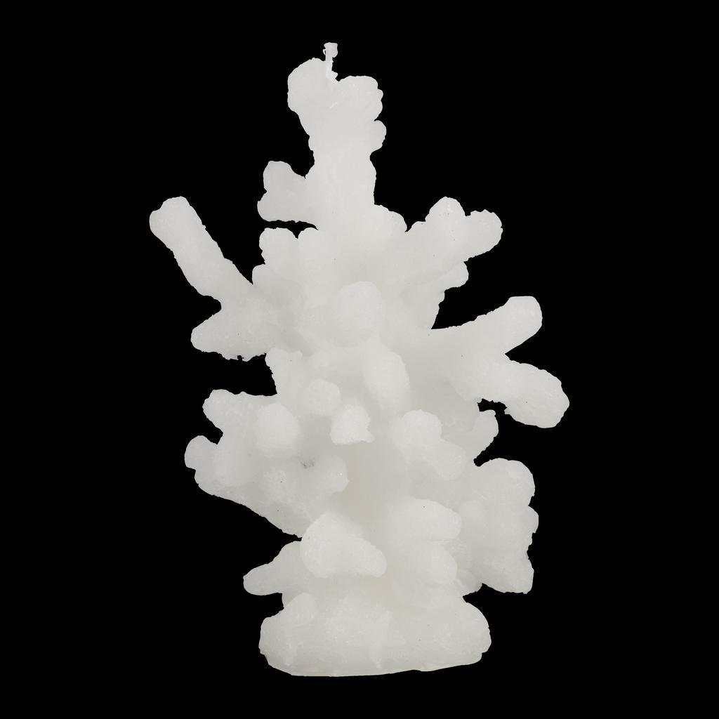 White Coral Candle - Distinctly Living 