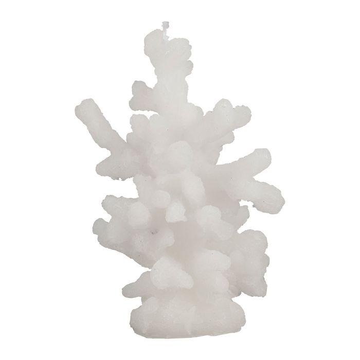 White Coral Candle - Distinctly Living