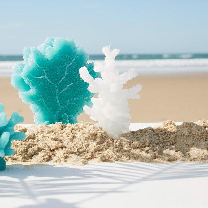 White Coral Candle - Distinctly Living