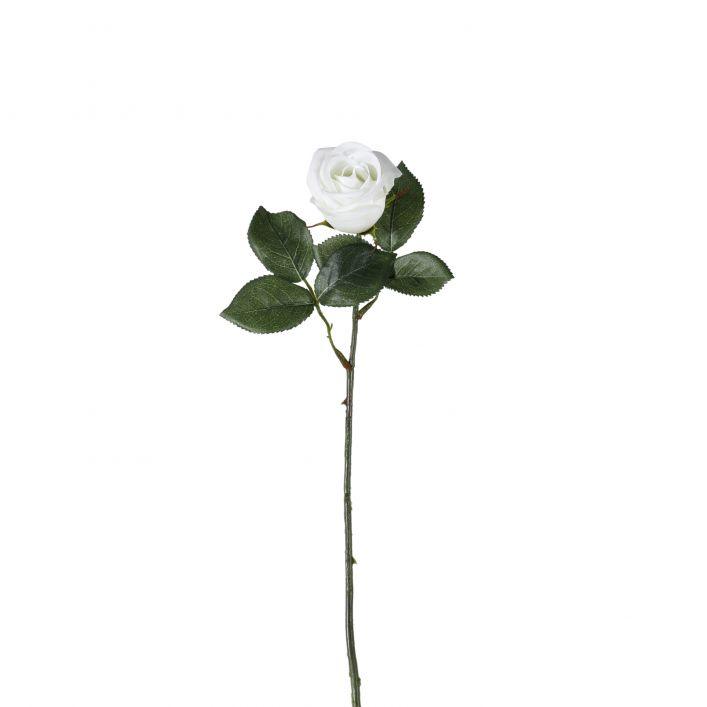 White Rose Flower Stem - Distinctly Living
