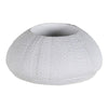 White Sea Urchin Candle Holder - Distinctly Living 