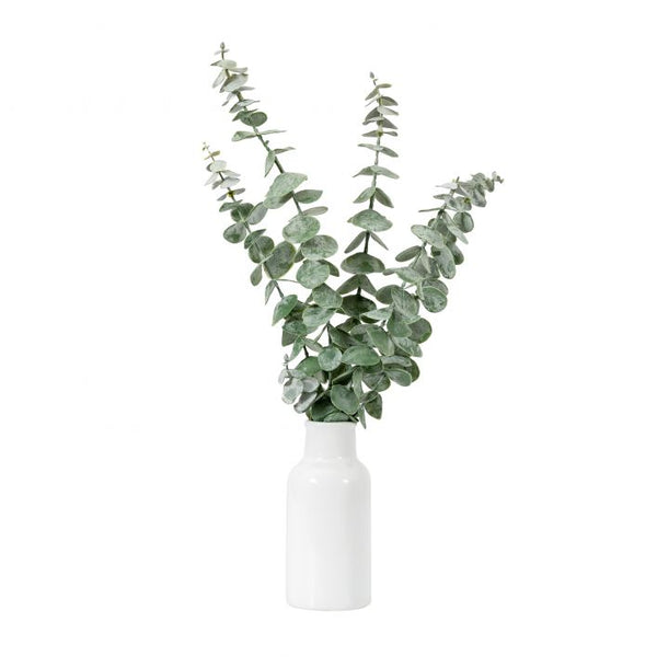 White Vased Eucalyptus - Distinctly Living