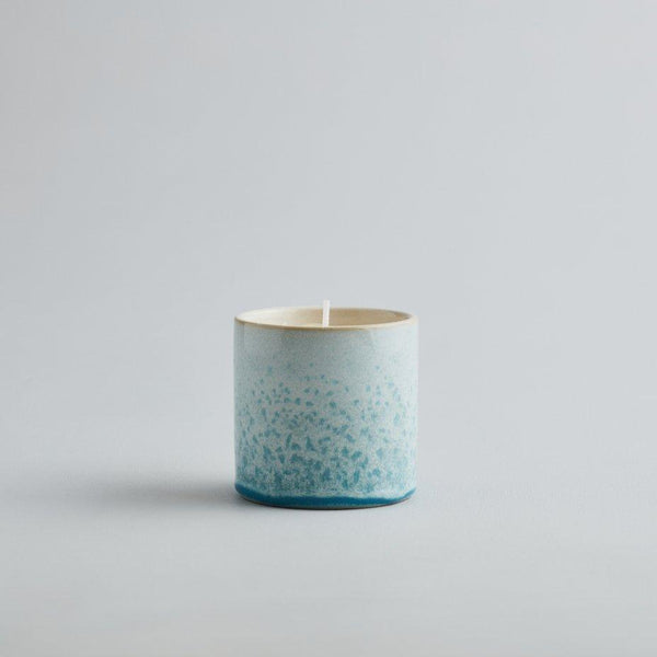 Wild Gorse, Sea & Shore Pot - Distinctly Living